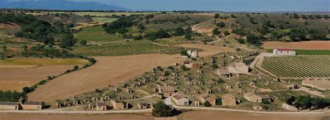 La Ribera del Duero cumple 40 años y su vecindario no para de crecer.